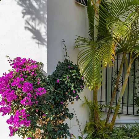 Apartamento Palmas 17b Oasis *